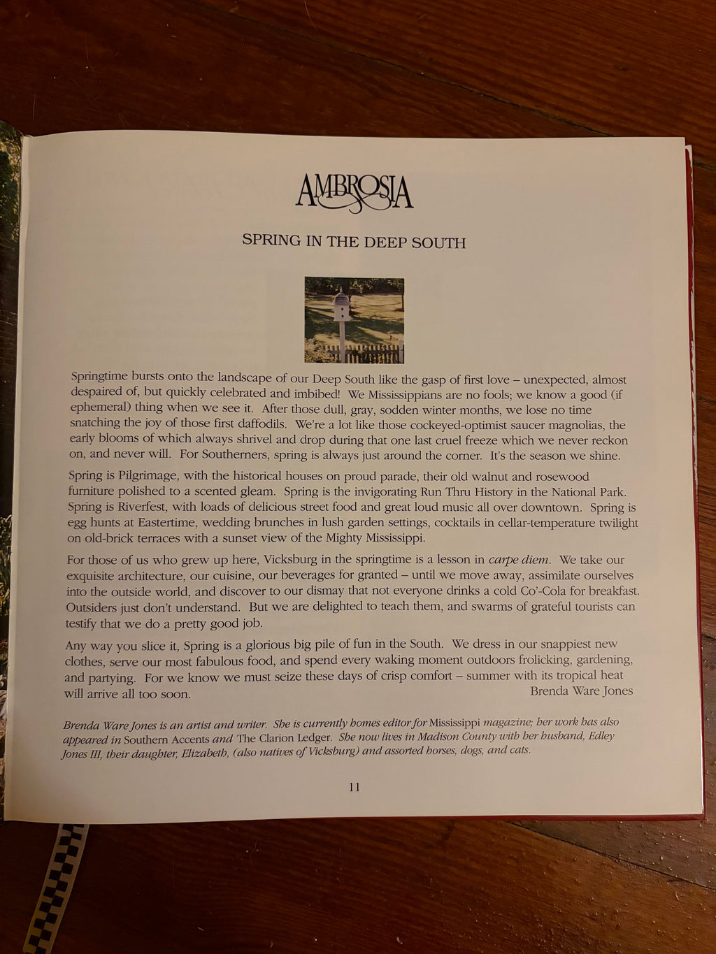 Ambrosia: A Deep South Mixture of Homes Recipes & History